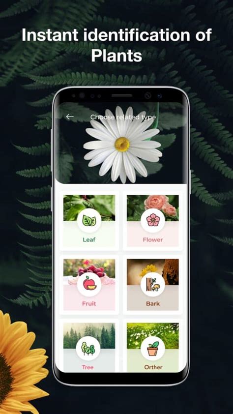 plantsnap gratis|totally free plant identifier app.